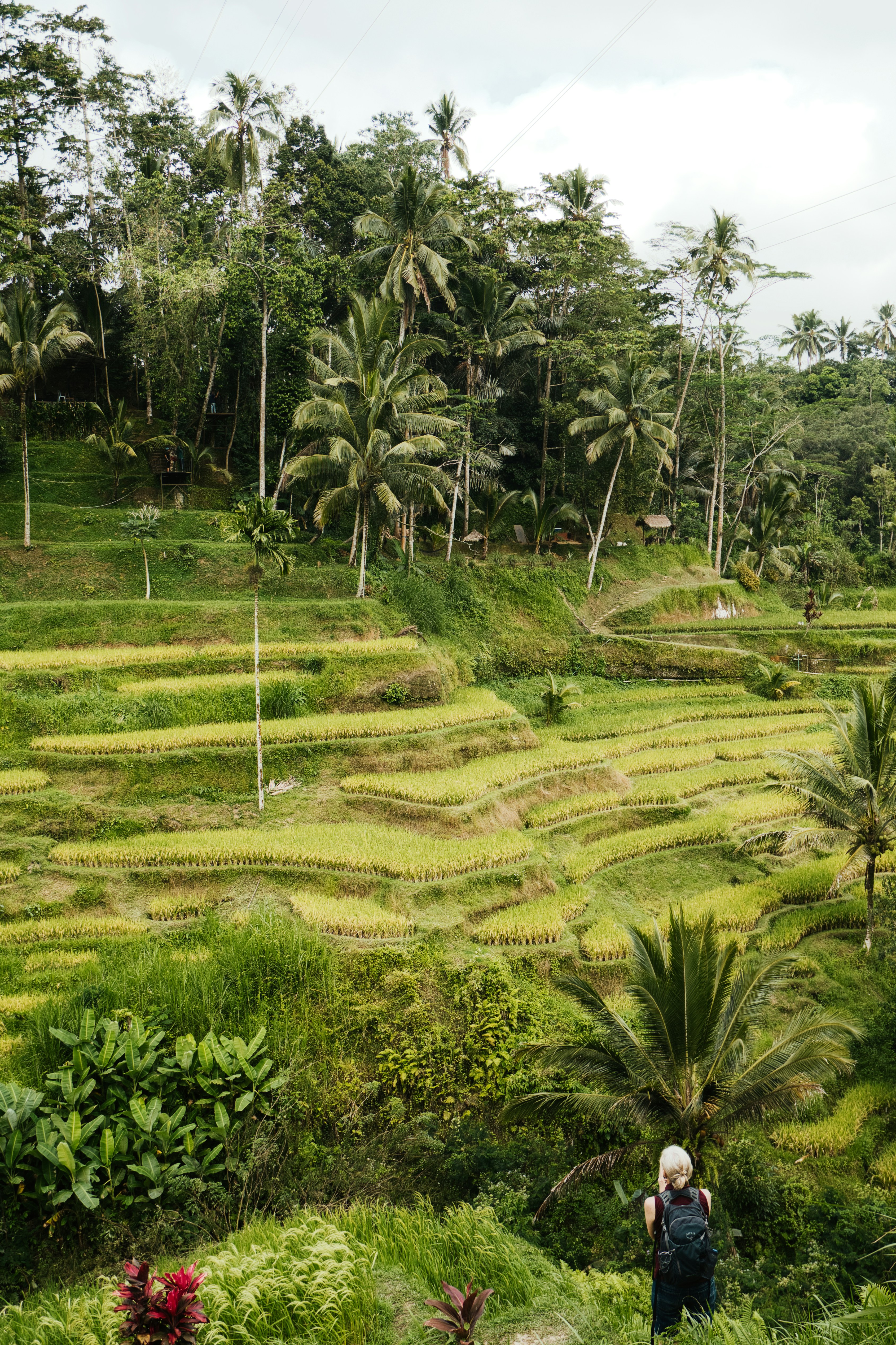 Bali